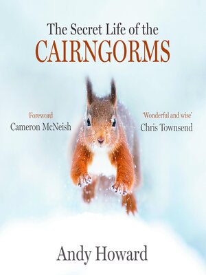 cover image of The Secret Life of the Cairngorms